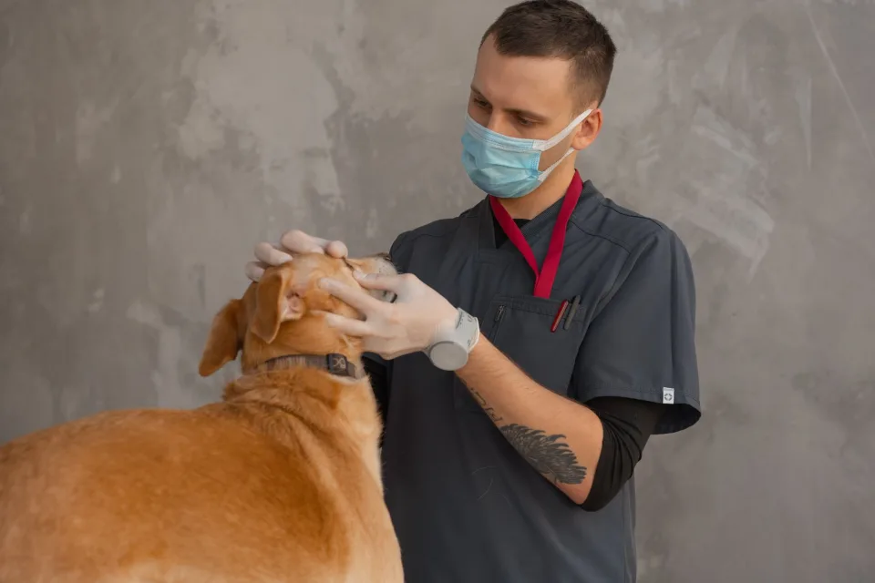 Hình ảnh tại Cửa Hàng Thức Ăn Chăn Nuôi Và Thuốc Thú Y Huy Khôi 5